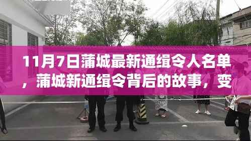 蒲城最新通缉令背后的故事,变化、学习与信心的力量,揭示通缉名单新动向