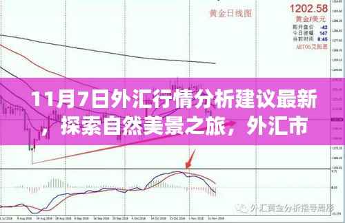 11月7日外汇行情最新解析与探索自然美景之旅,市场宁静与远方风景的魅力