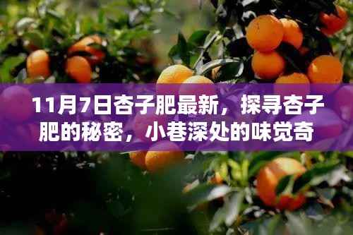 探寻杏子肥的秘密,小巷深处的味觉盛宴(最新杏子肥报道)