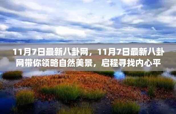 11月7日最新八卦网,启程内心的平静之旅,领略自然美景的魅力