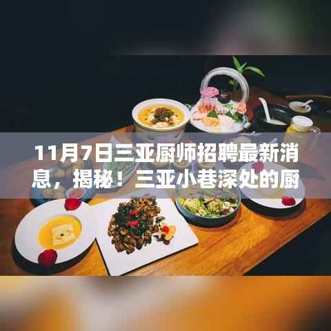 揭秘三亚厨师招聘独家消息,小巷深处的厨艺秘境新动态