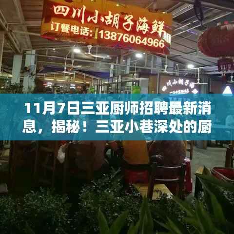 揭秘三亚厨师招聘独家消息,小巷深处的厨艺秘境新动态