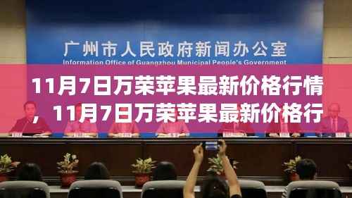 11月7日万荣苹果价格行情及市场观察分析