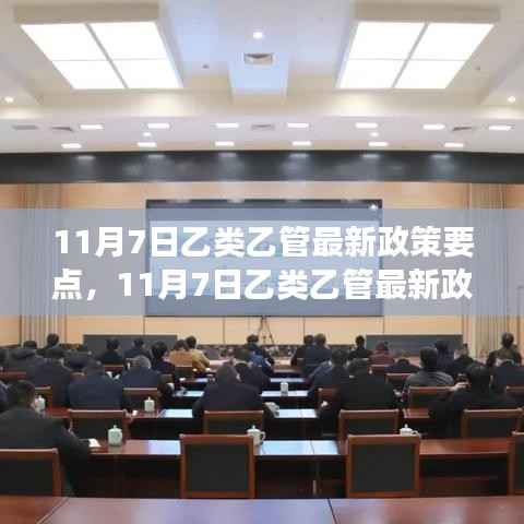 初学者进阶手册,解读与操作指南——乙类乙管最新政策要点详解(附操作指南)
