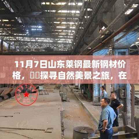 山东莱钢钢材价格更新与探寻自然美景之旅的双重体验,宁静与平和的旋律