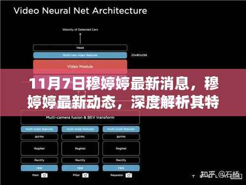 穆婷婷最新动态揭秘,特性、用户体验与目标用户群体深度解析