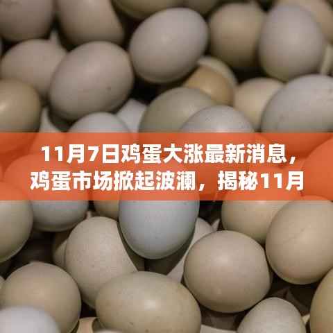 揭秘,鸡蛋市场掀起波澜背后的故事——11月7日鸡蛋大涨最新消息分析