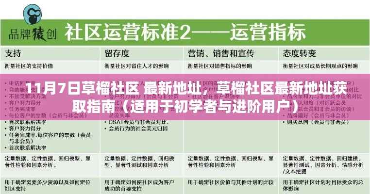 草榴社区最新地址获取指南,适用于初学者与进阶用户的全面指南(11月7日版)