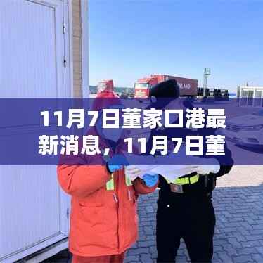11月7日董家口港最新消息,全面理解与操作指南