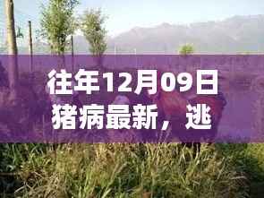 标新竞异 第3页