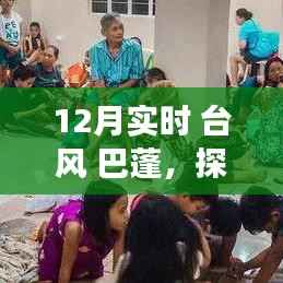 巴蓬台风下的隐秘美食,探寻小巷深处的独特风味之旅