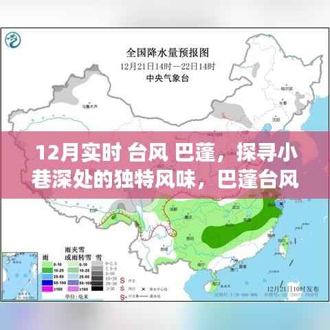 巴蓬台风下的隐秘美食,探寻小巷深处的独特风味之旅