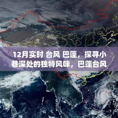 巴蓬台风下的隐秘美食,探寻小巷深处的独特风味之旅