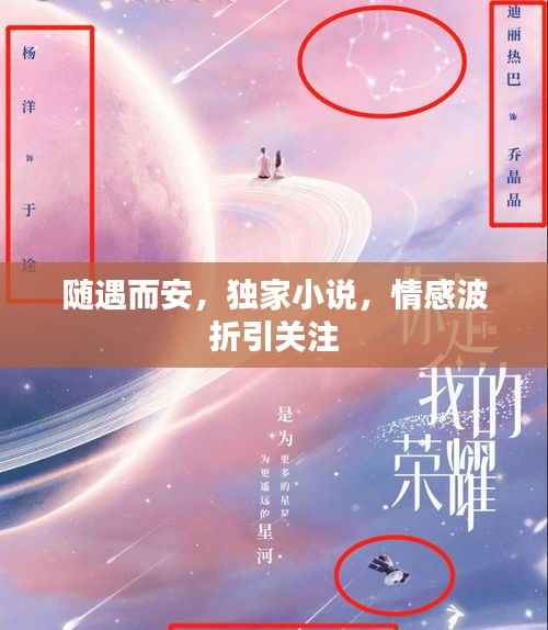 随遇而安,独家小说,情感波折引关注