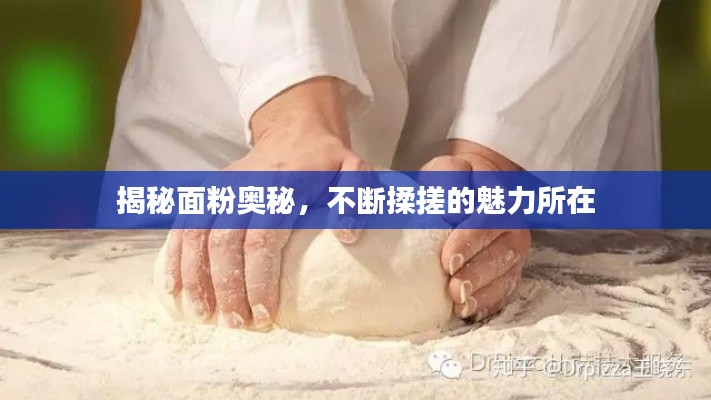 揭秘面粉奥秘,不断揉搓的魅力所在