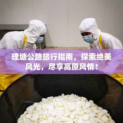 龙飞凤舞 第3页