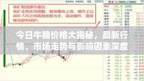 今日牛腩价格大揭秘,最新行情、市场走势与影响因素深度解析