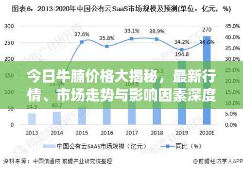 今日牛腩价格大揭秘,最新行情、市场走势与影响因素深度解析