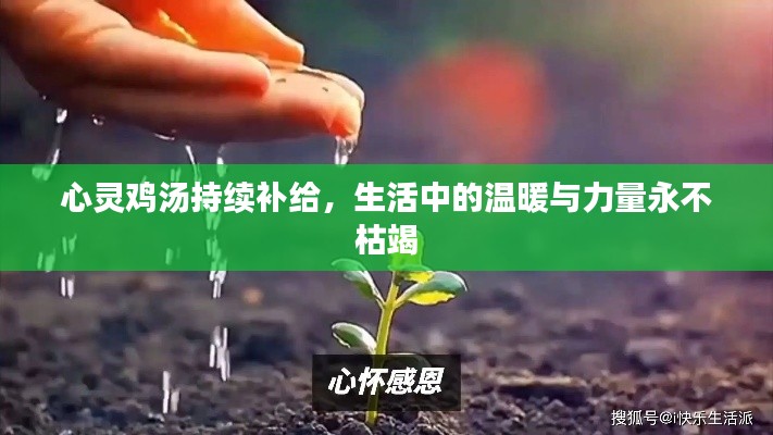 欣喜若狂 第2页