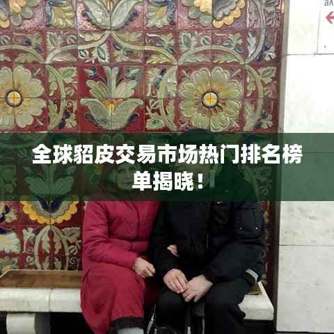 全球貂皮交易市场热门排名榜单揭晓!