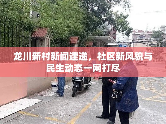 龙川新村新闻速递,社区新风貌与民生动态一网打尽