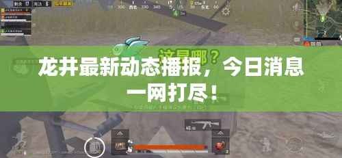 龙井最新动态播报,今日消息一网打尽!